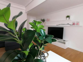 Apartamento Vicario